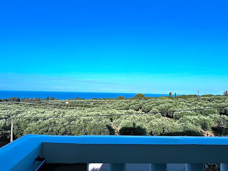 Orizontes View Hotel