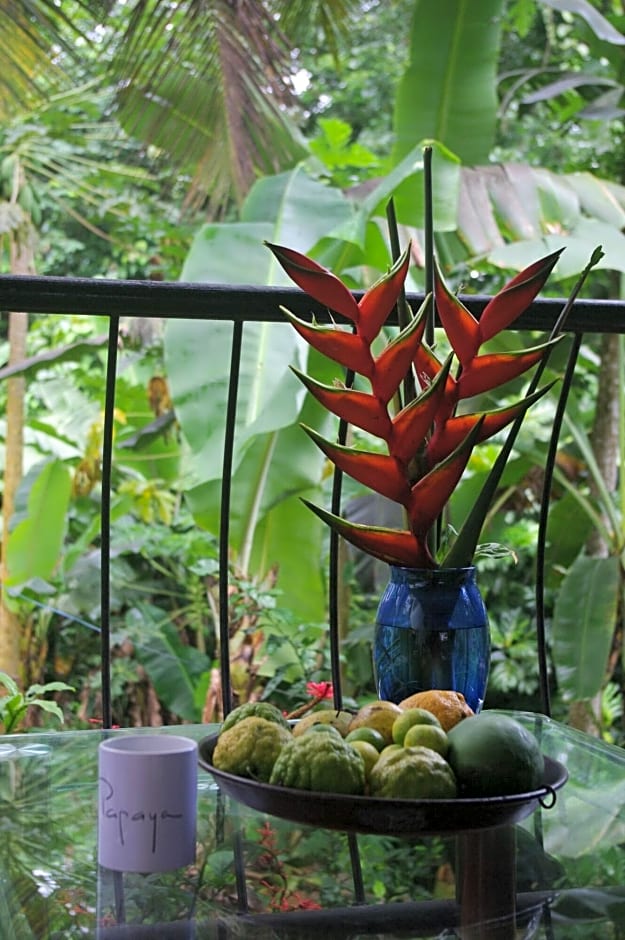 Papaya Guesthouse