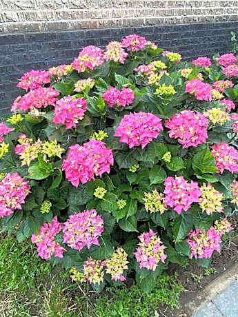 Queen Room with Spa Bath