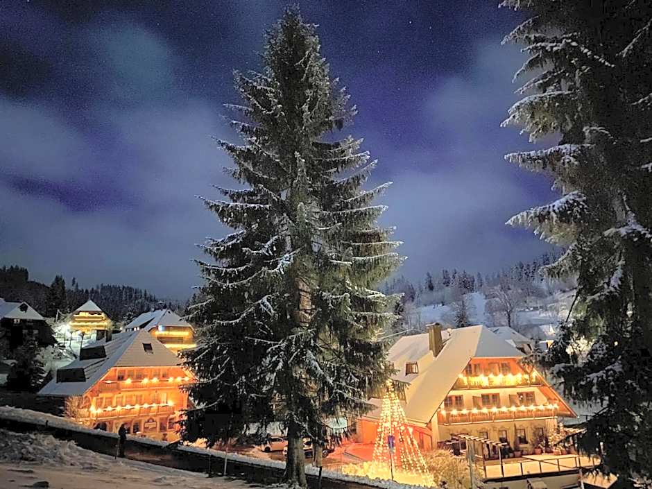 Hotel & Restaurant Gruner Baum - Die Grune Oase Am Feldberg