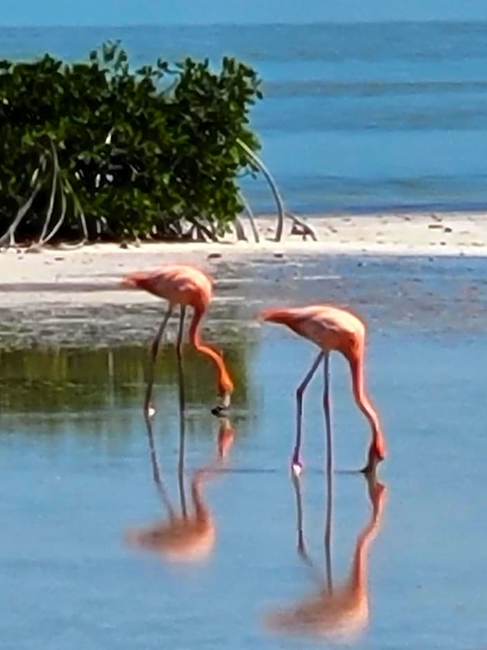 Puerto del Cielo
