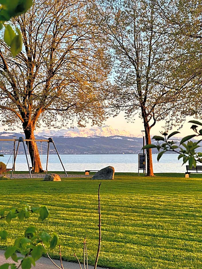 SeeHotel Amtshof