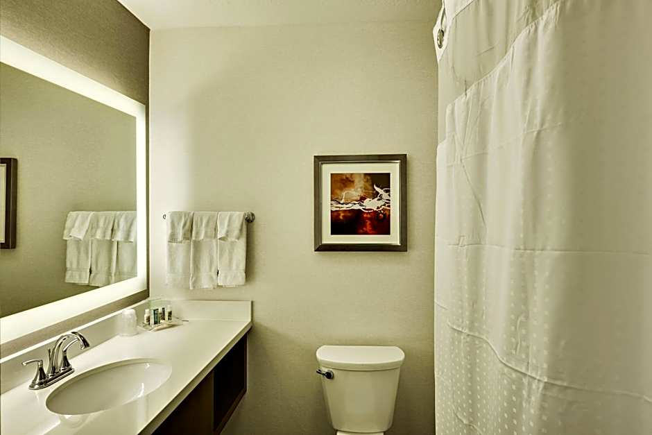 Holiday Inn St. George Convention Center By IHG