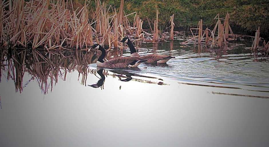 The Moorhead Bed & Breakfast