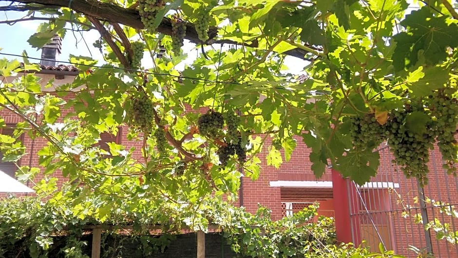 B&B Ma Maison
