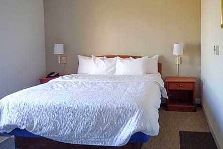 1 King Bed, Suite, Nonsmoking