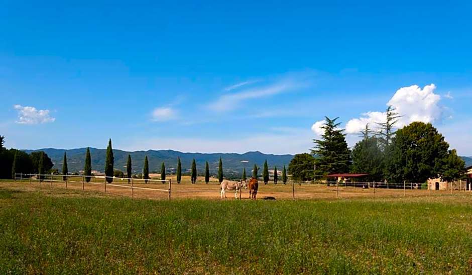 Camping Village Mugello Verde
