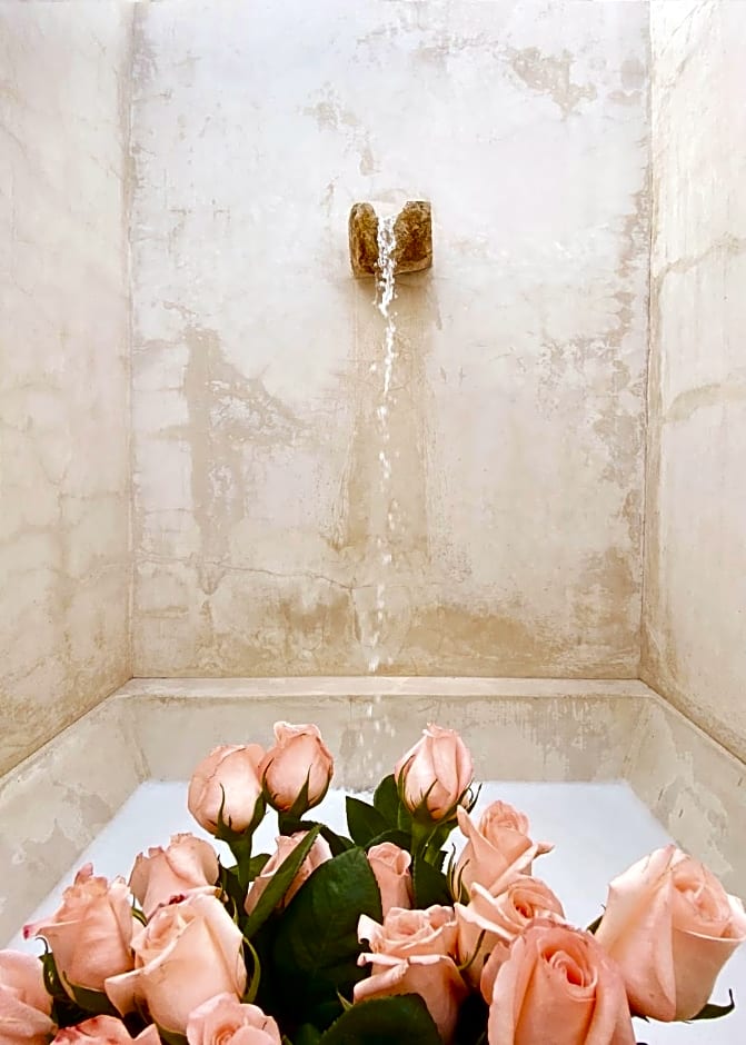 Rosas & Xocolate, Mérida, A Member Of Design Hotels