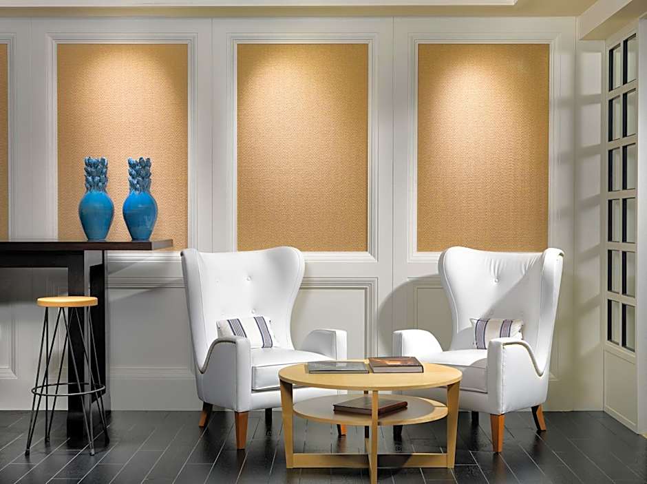 H10 Delfín - Adults Only