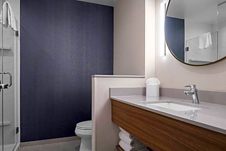 Room, 1 King Bed, City View (Hearing Accessible) (1 King Bed)