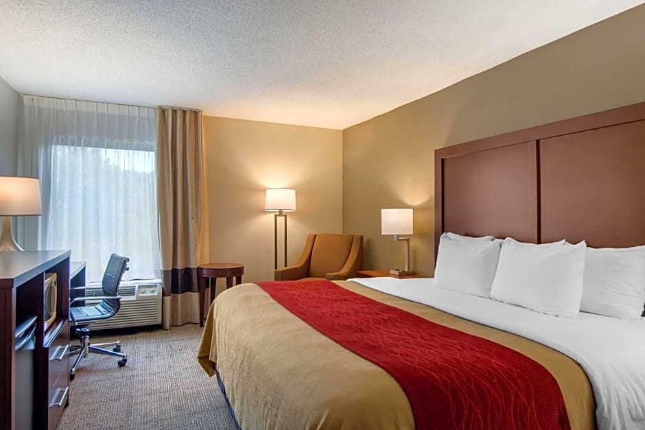 Comfort Inn Chester - Richmond South