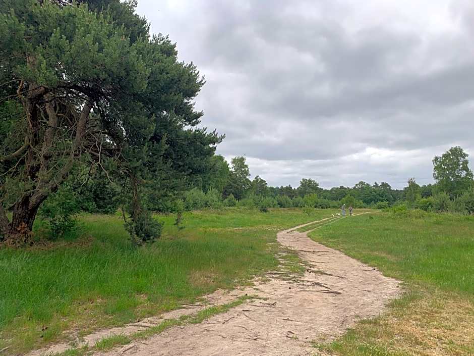 Chalet Moderna Putten