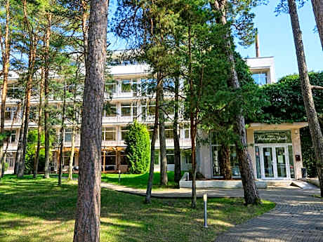 Palangos Dailė