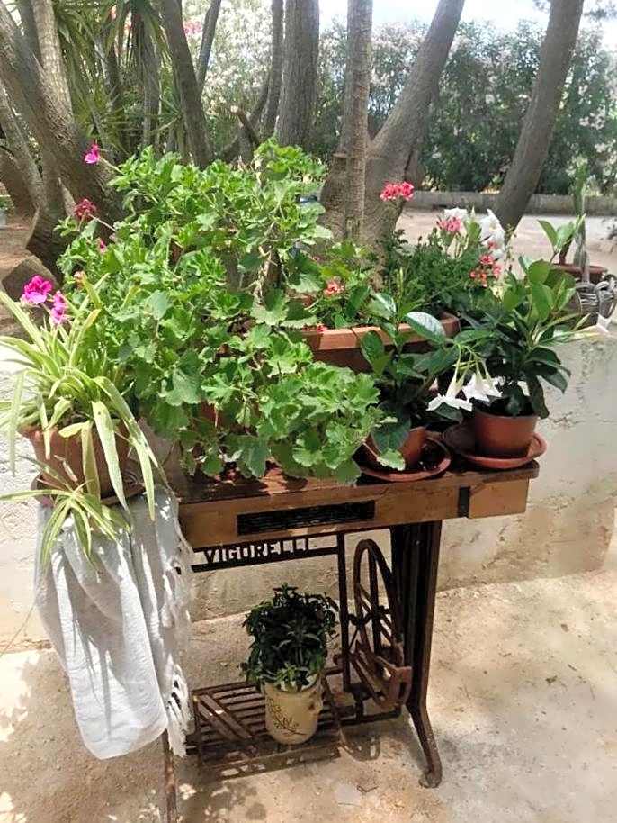 A CASA NOSCIA - BB SAN PIETRO IN BEVAGNA Charming house