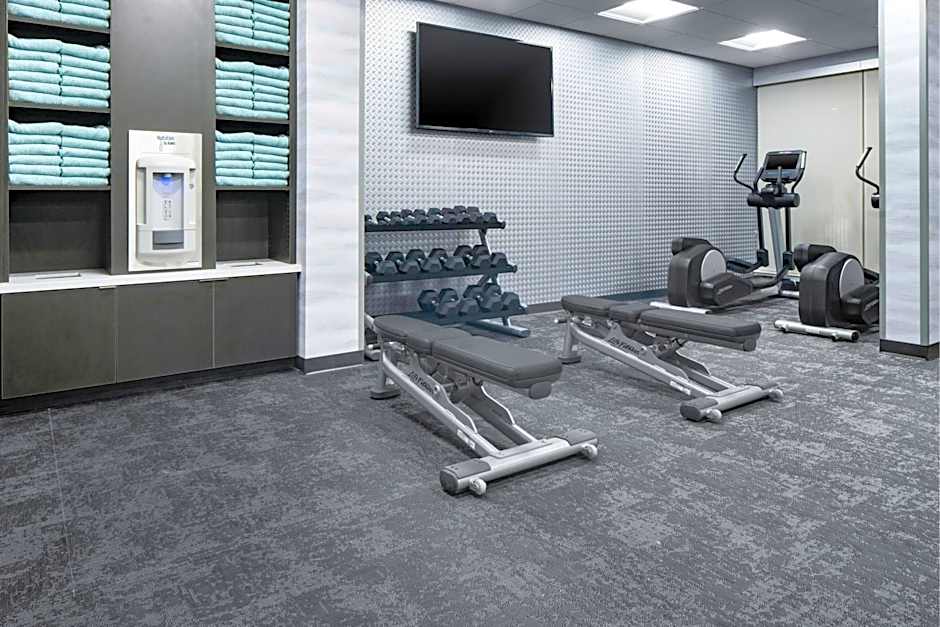 Fairfield Inn & Suites by Marriott Dallas DFW Airport North/Irving