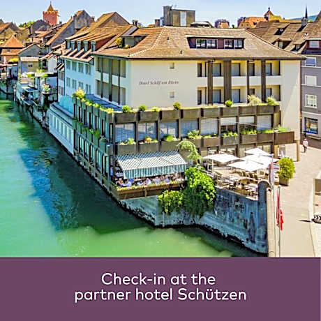 Hotel Schiff am Rhein