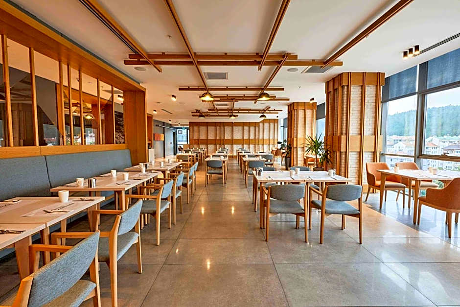 Park Dedeman Kastamonu