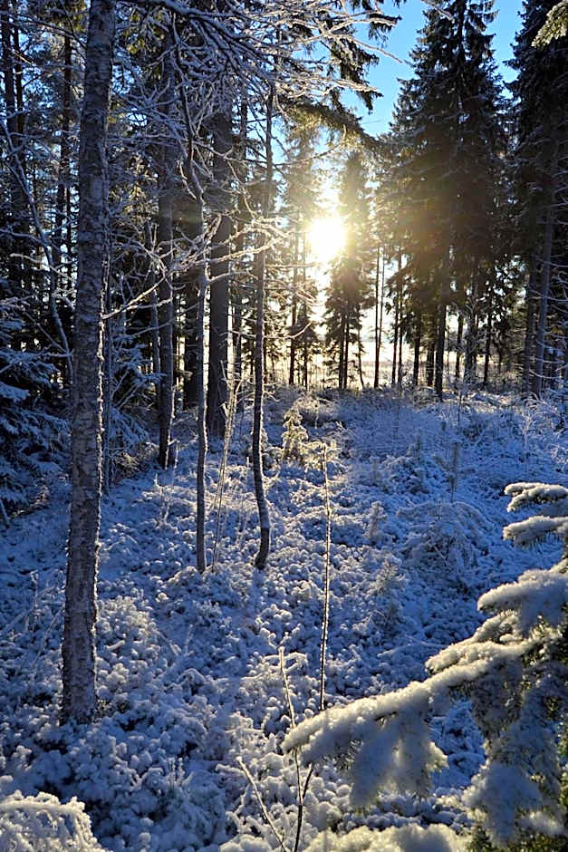 Kujanpää | Paajoen Vuokramökit