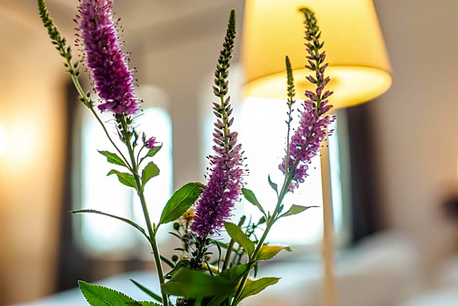 Borgo dei Gatti Albergo Diffuso & spa