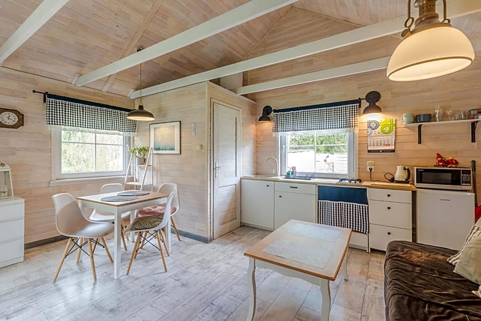 Domki w Dolinie Wieżycy