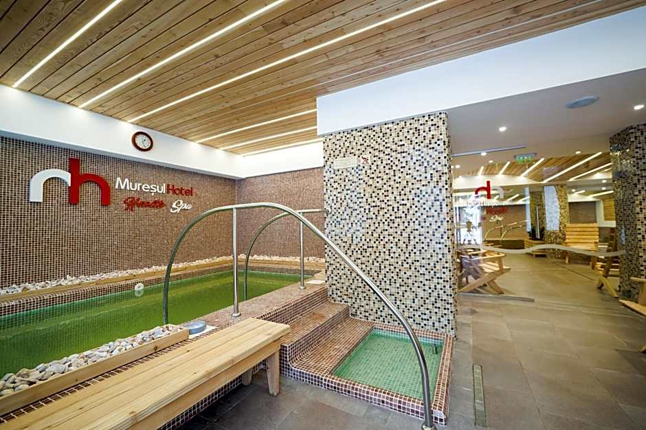 Hotel Muresul Health Spa