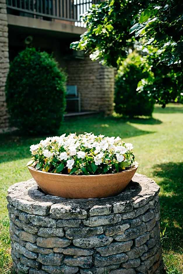 Hôtel Carcarille Restaurant Le C