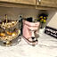 Pink Flamingo House