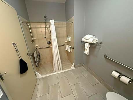1 Queen Bed Mobility Accessible Room Roll-In Shower Non-Smoking