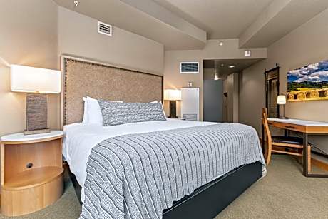 Deluxe One-Bedroom Apartment