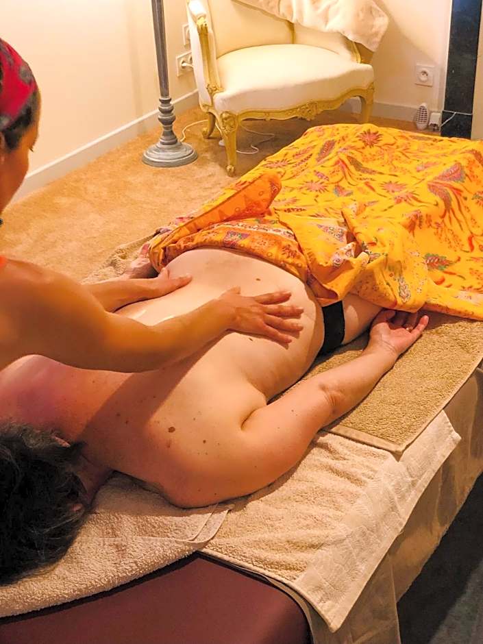 Demeure du Porzou, chambres d'hôtes de charme dans demeure d'exception, parc paysager, spa, massages, proche Paimpol, classé 4 épis