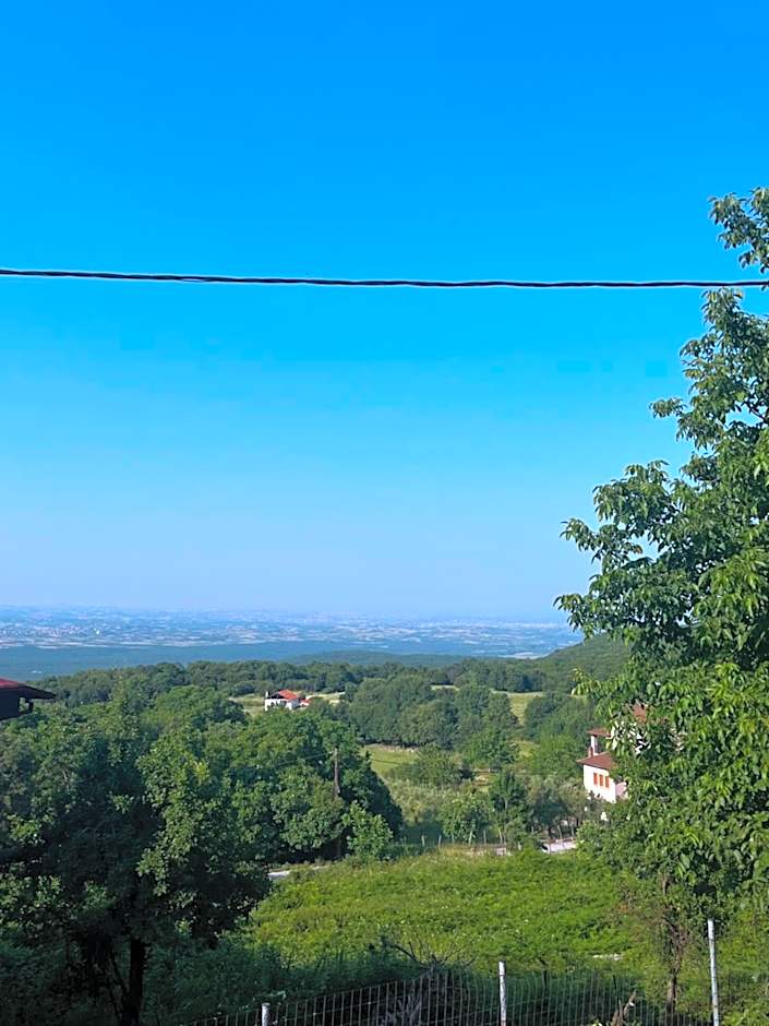 Ψητοπωλείο Καφέ Ενοικιαζόμενα Δωμάτια Όλυμπος