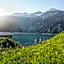 AlpenParks Chalet & Apartment Steve Lodge Viehhofen
