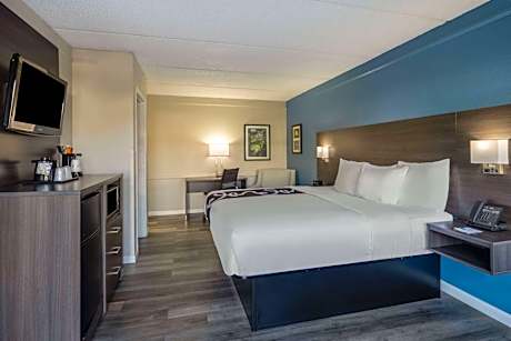 1 King Bed Non-Smoking