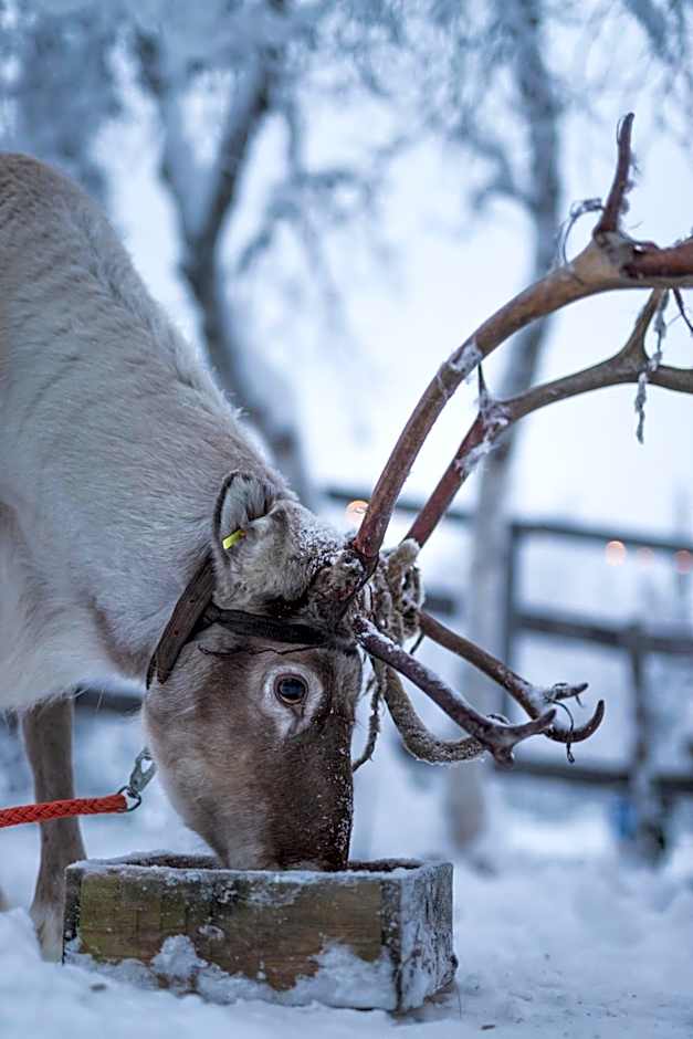 Tankavaara Gold Village