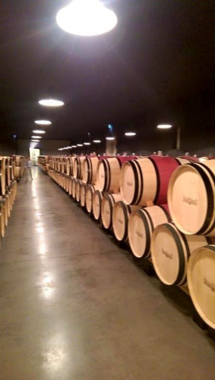 Au c¿ur des vignobles