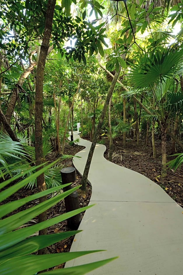 Catalonia Privileged Maroma