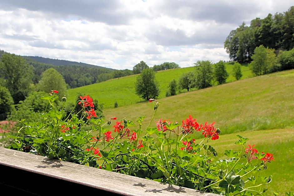 Natur & Wander Hotel Gassbachtal