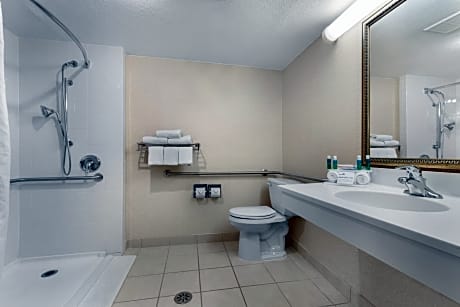 Room with Accessible Roll In Shower - Non-Smoking
