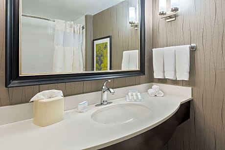 2 Double Mobility Accessible W/ Bathtub