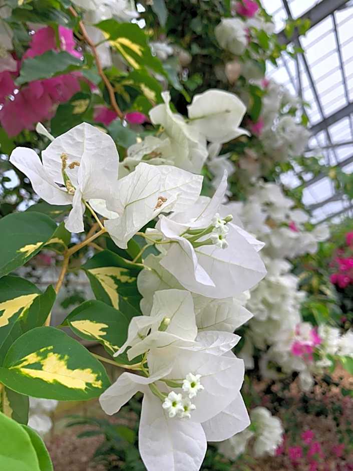 HOTEL Fit in Miyakojima