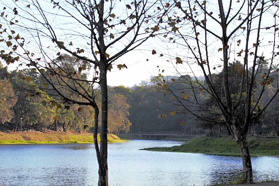 Chalé Bosque Do Barreiro