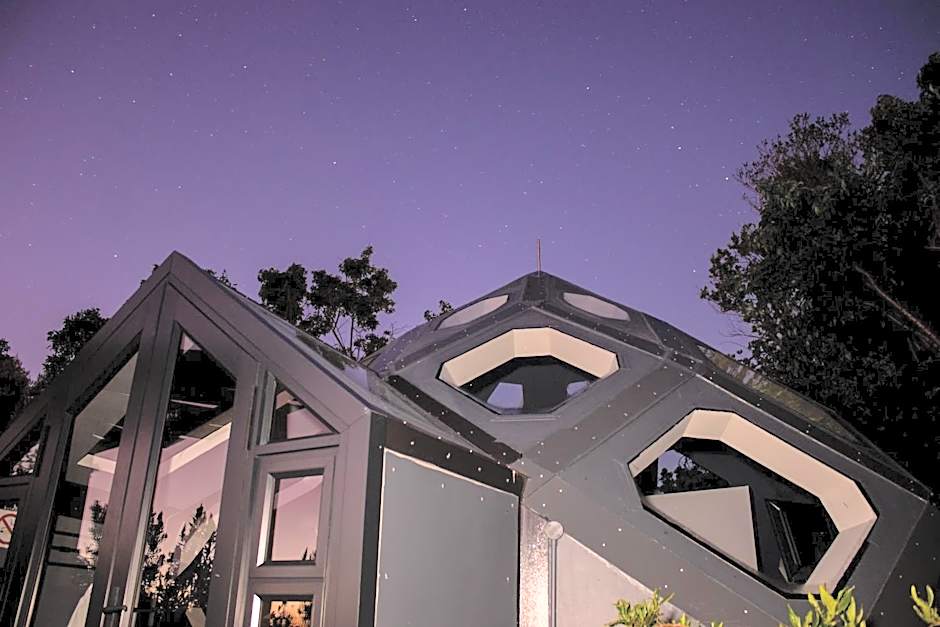 The Hive - Jungle at Misty Mountain Reserve