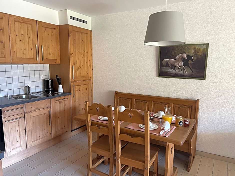 Mountain River Appart