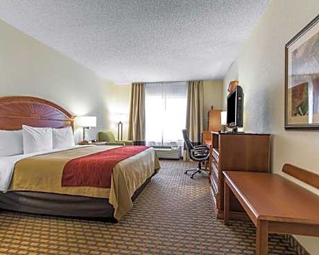 Suite Queen bed