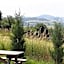 Le Clos du Jubin