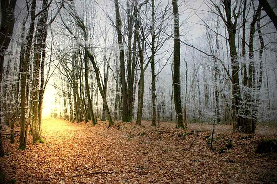 Domaine De Frevent