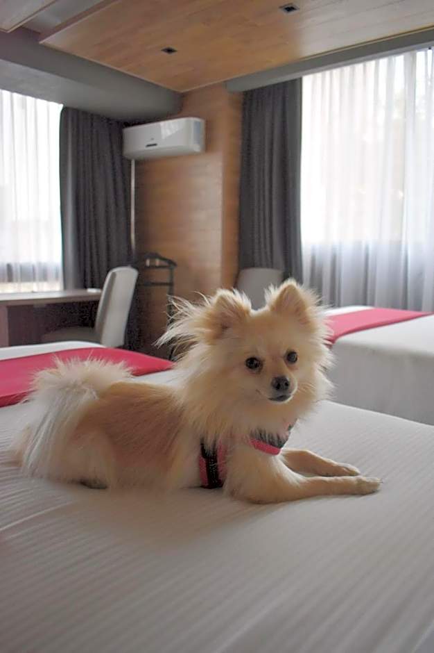 Hotel Park Nilo Reforma