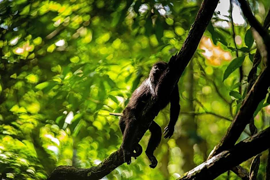 Hotel Villa Mercedes Palenque