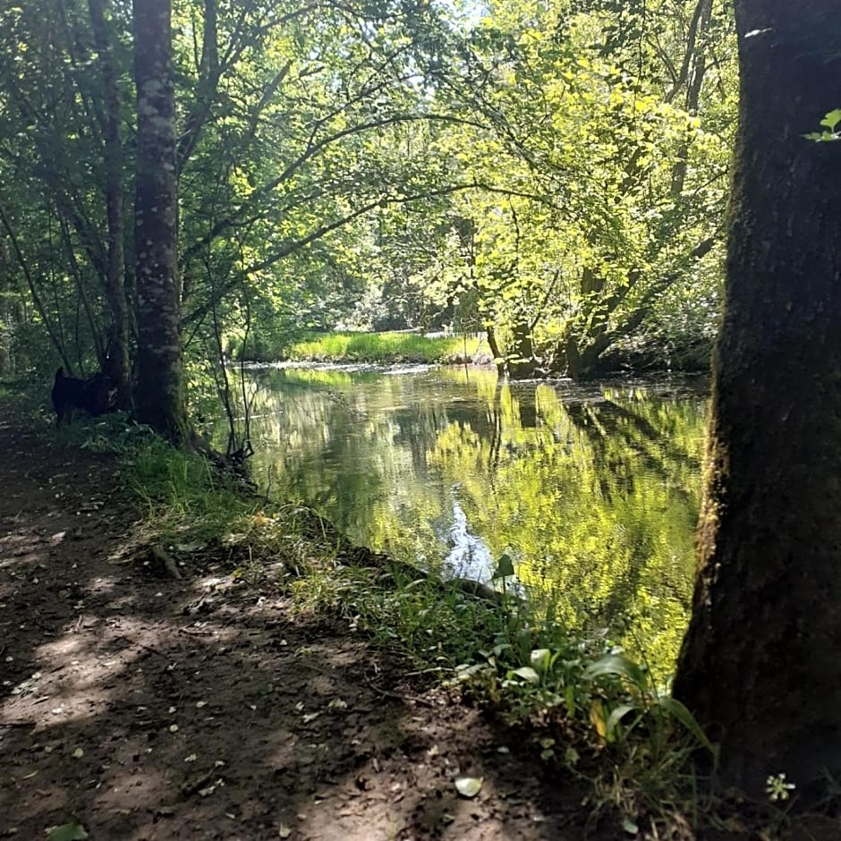 Chambre d'Hote Woody