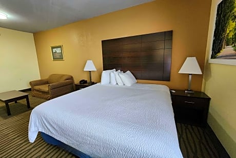 1 King Bed Deluxe Suite Smoking